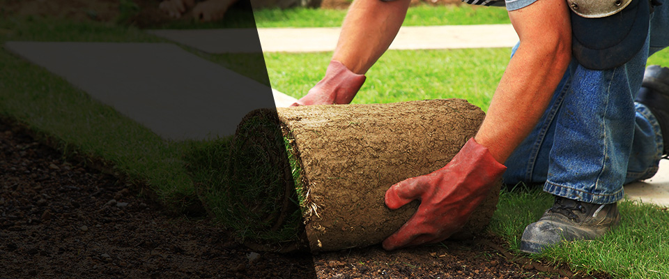 Shepherdsville Landscapers